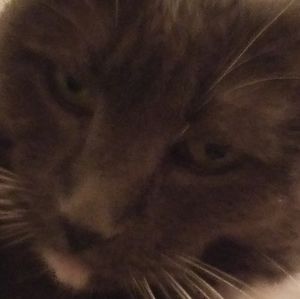 Meet your Posher, Nicky